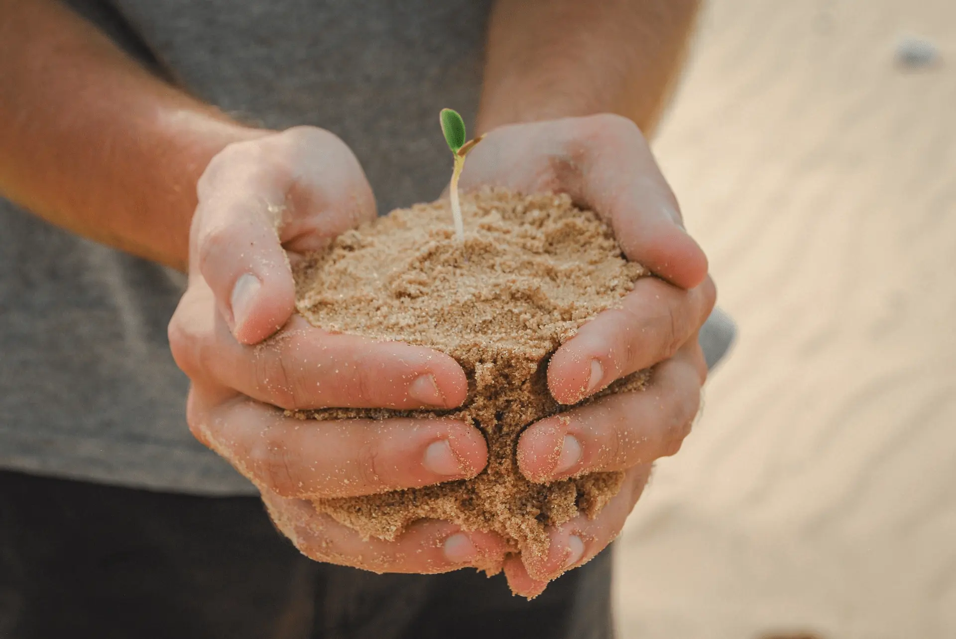 Muhasebe & Mali Müşavirlik